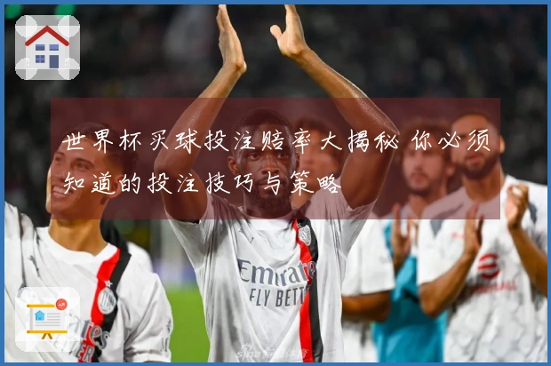 世界杯买球投注赔率大揭秘 你必须知道的投注技巧与策略