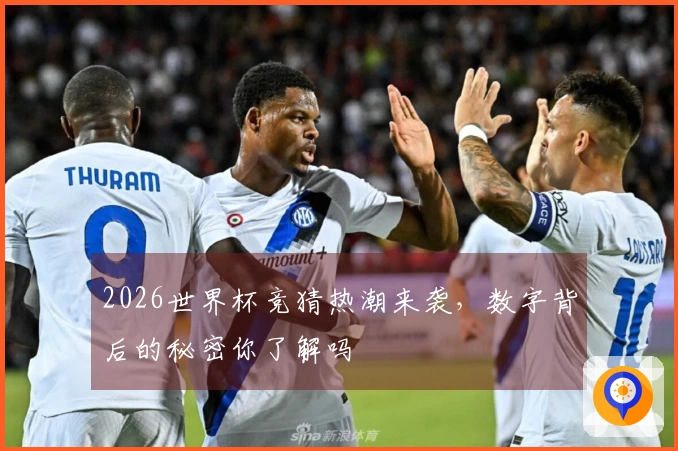 2026世界杯竞猜热潮来袭，数字背后的秘密你了解吗
