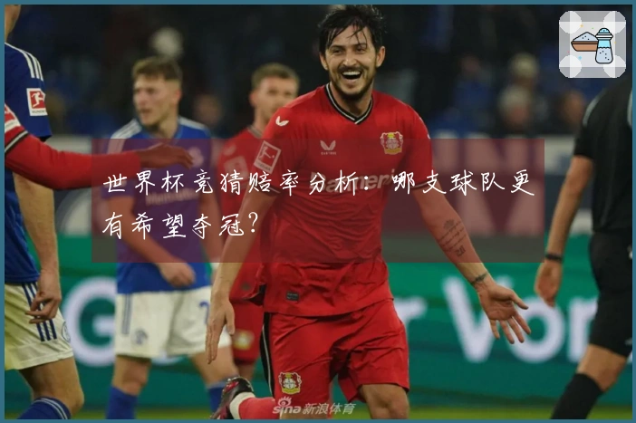 世界杯竞猜赔率分析：哪支球队更有希望夺冠？