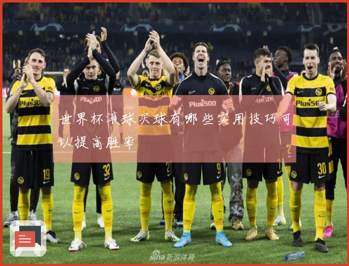 世界杯滚球买球有哪些实用技巧可以提高胜率