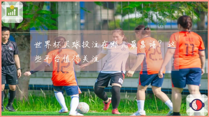世界杯买球投注在哪儿最靠谱？这些平台值得关注