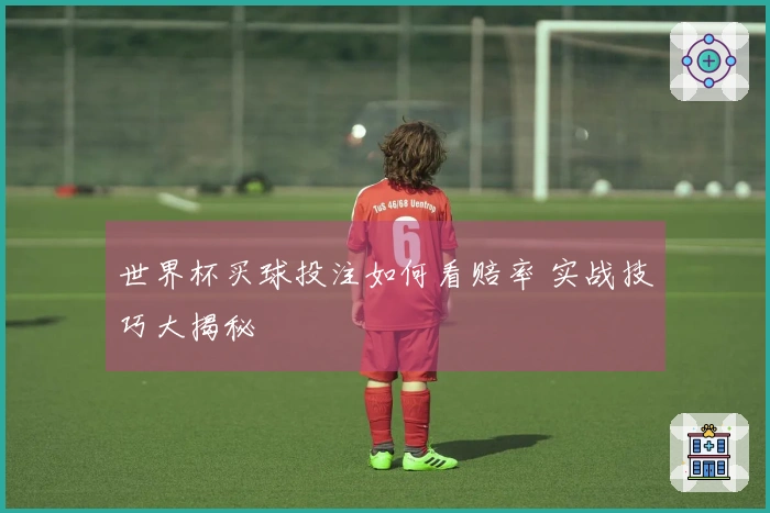 世界杯买球投注如何看赔率 实战技巧大揭秘