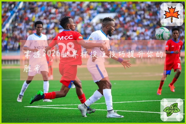 掌握2026世界杯投注技巧提升你的胜率